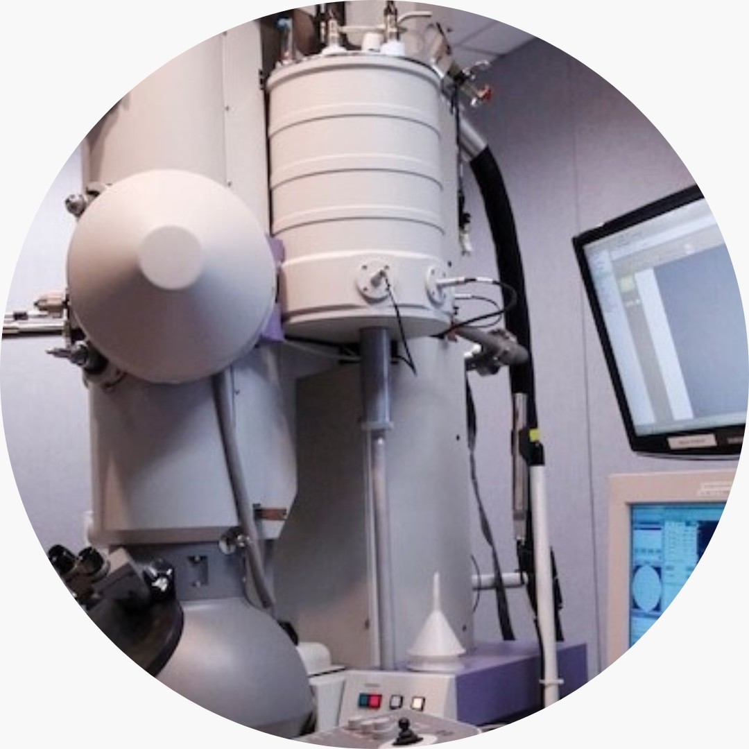 A cryo-electron microscope